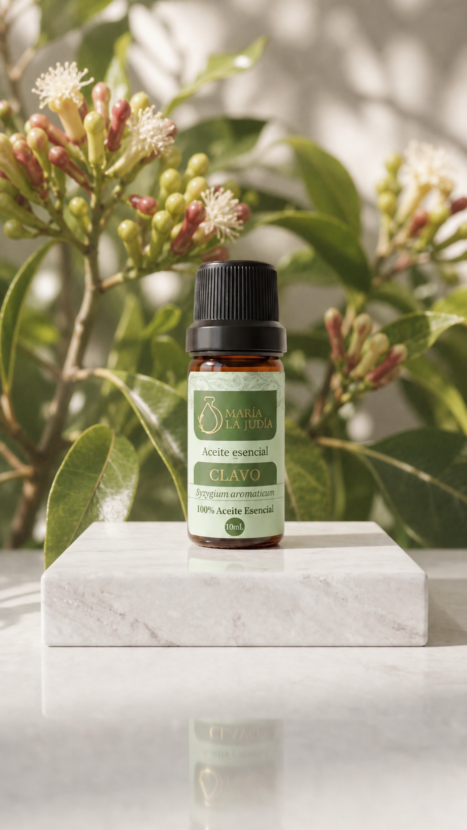Aceite esencial de Clavos 10 ml