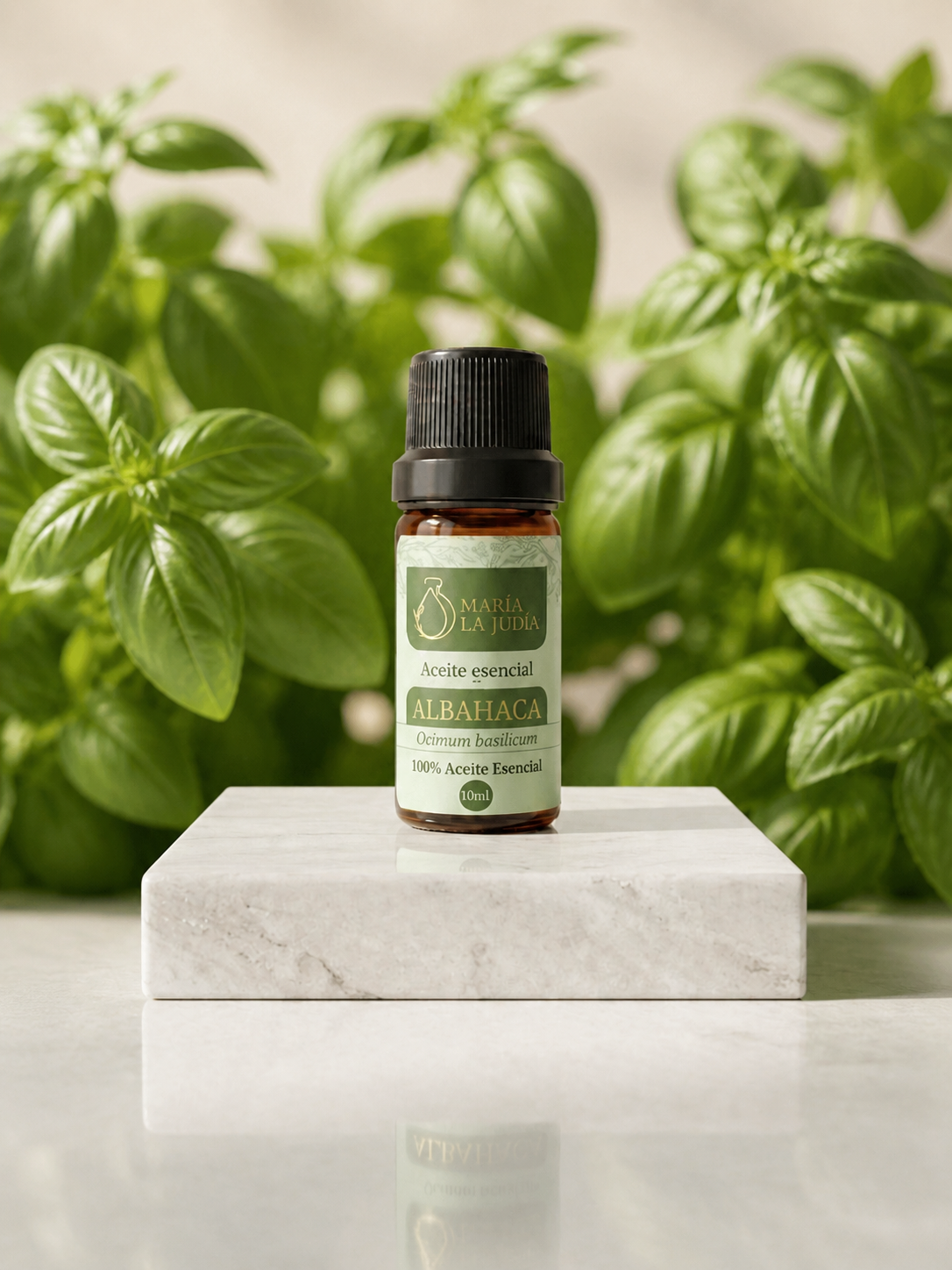 Aceite esencial de Albahaca 10 ml
