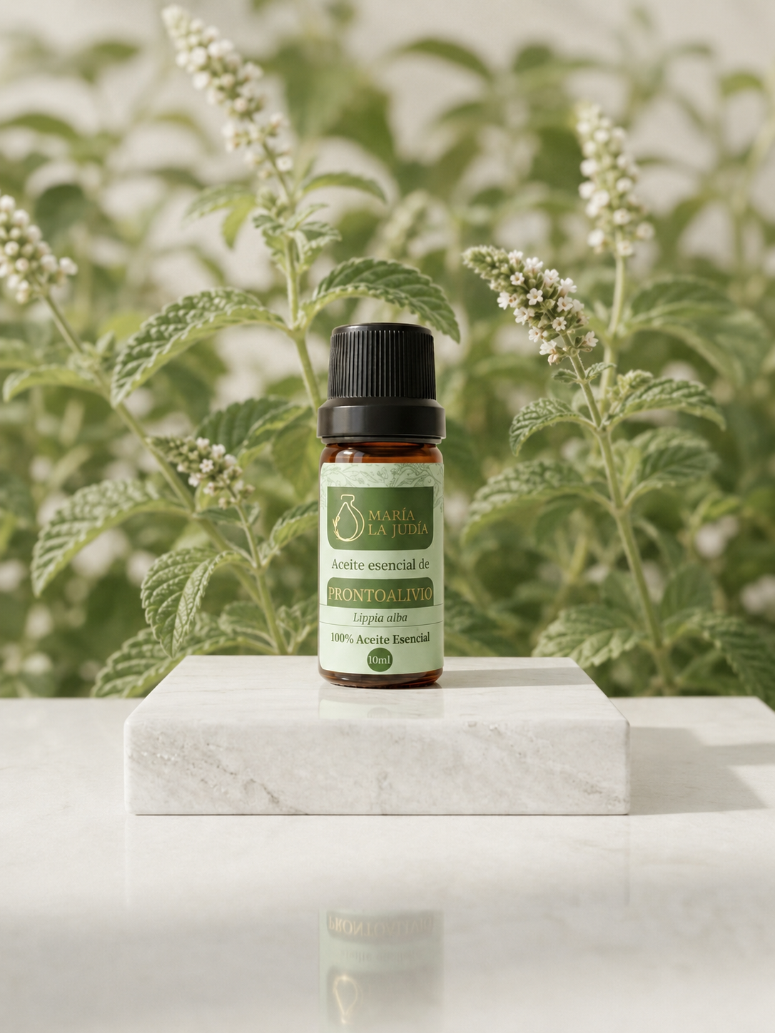 Aceite esencial de Prontoalivio 10 ml